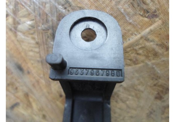 Петля для заднього скла Peugeot, Citroen.9637967980.
